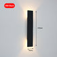 Modern 6W LED Indoor Wall Lamp